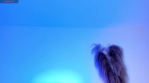 Alice online show from October 31, 2:07 pm