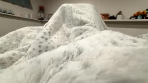 aliosis1 online show from April 20, 3:20 am