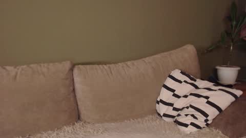 Snapshot of alisaxxxshy chatting on February 3, 6:40 am alisaxxxshy online show from February 3, 6:40 am