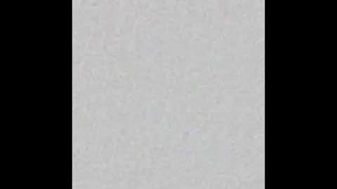 Alisse online show from February 14, 12:13 pm