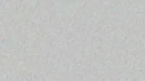 Alisse online show from April 10, 12:10 pm