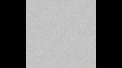 Ali online show from February 21, 11:22 am