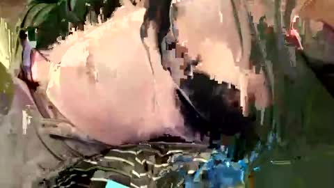 all_m3 online show from January 16, 11:09 pm