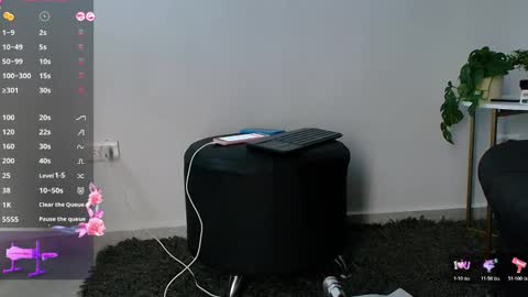 Snapshot of allymdo chatting on November 19, 11:43 am allymdo online show from November 19, 11:43 am