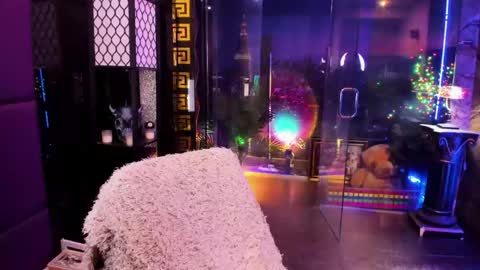 Alma online show from May 27, 7:49 am