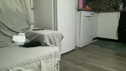 AlphAndre online show from February 22, 6:30 pm