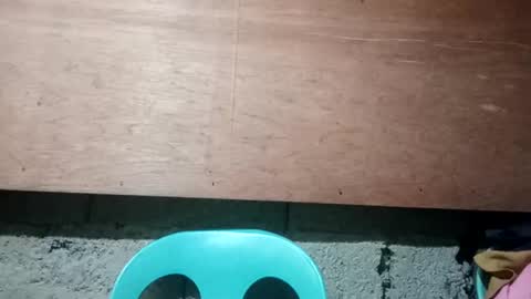 altheahot_asian online show from December 19, 11:57 pm