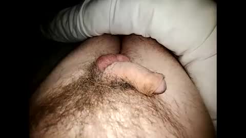 Snapshot of altirando3 chatting on December 23, 11:49 pm gordy2263 online show from December 23, 11:49 pm