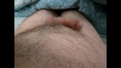 Snapshot of altirando3 chatting on September 24, 12:41 pm gordy2263 online show from September 24, 12:41 pm