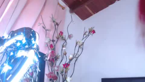   online show from February 19, 5:38 pm