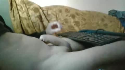 amazingcuteboy845 online show from September 29, 1:16 pm