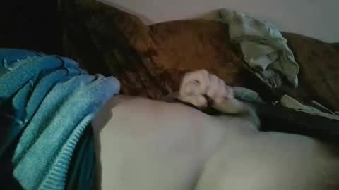 amazingcuteboy845 online show from October 18, 9:15 pm