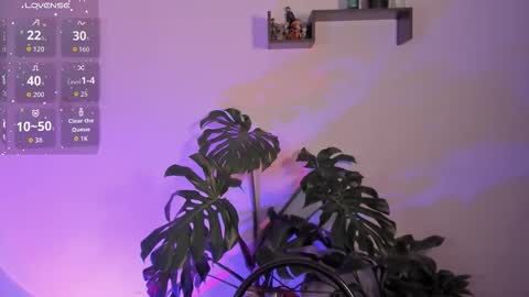 Vivi  online show from January 12, 4:50 am