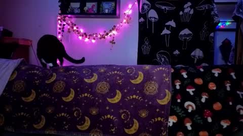 amburlicious online show from February 22, 4:02 am