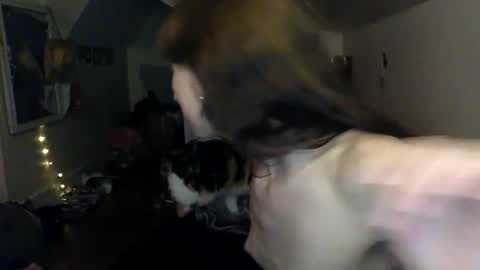 jane online show from March 27, 12:27 am