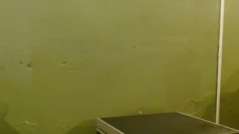 Mari online show from March 30, 1:56 pm