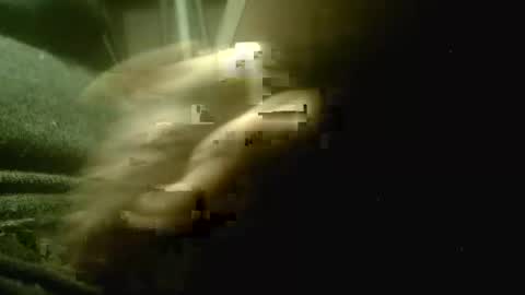 Snapshot of amolafica12 chatting on December 1, 5:18 pm amolafica12 online show from December 1, 5:18 pm