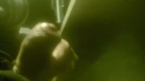 Snapshot of amolafica12 chatting on December 20, 10:22 am amolafica12 online show from December 20, 10:22 am