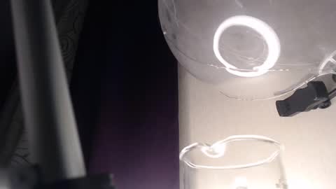 miss unforgettable online show from February 13, 3:50 am