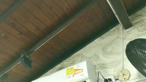 amy_greenee online show from March 1, 11:34 am