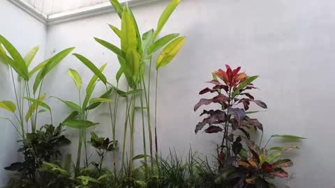 girl next door named Amy online show from March 2, 10:35 am