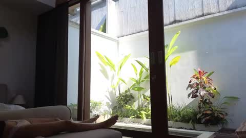 girl next door named Amy online show from March 3, 7:54 am