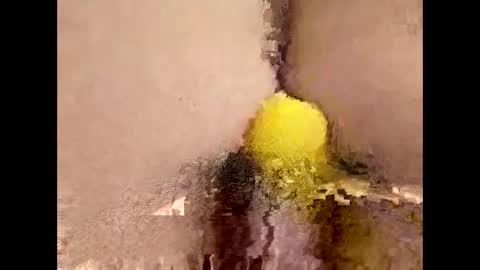 You can call me Amy Ray or Maggie May online show from April 16, 9:15 pm