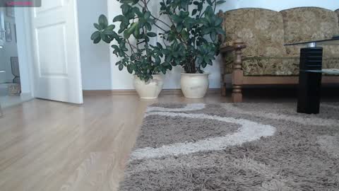 Ana online show from January 11, 8:00 am