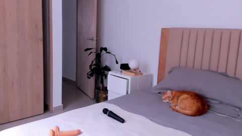 Ana Henao or Annie... Follow me ahenaocb Insta  X online show from September 26, 8:57 pm