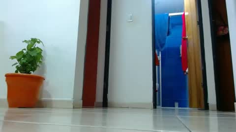 anaids online show from December 19, 2:57 pm