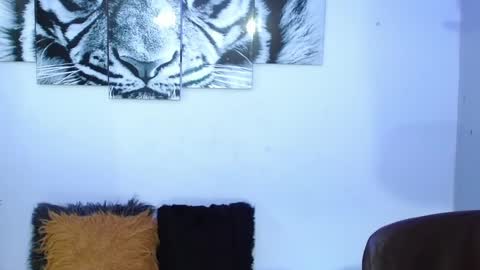 Analia online show from February 1, 2:02 pm