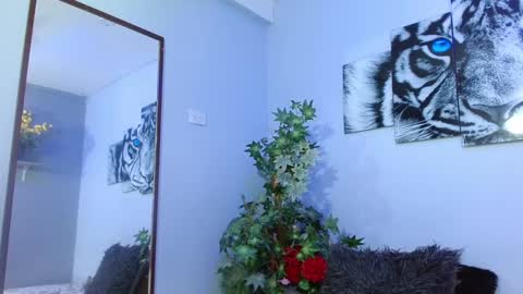 Analia online show from February 8, 3:10 pm