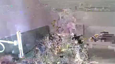 Andorphin online show from January 6, 12:24 pm