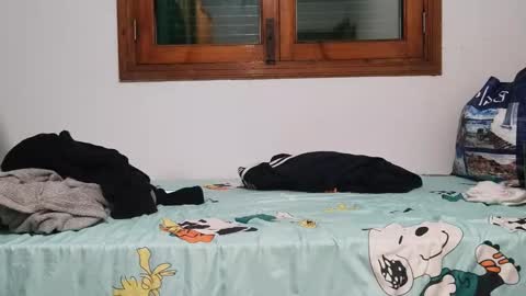 Andreu online show from December 1, 8:31 pm