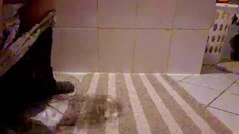 andris40 online show from February 8, 8:56 pm