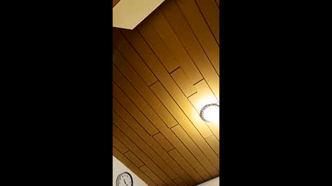 andris40 online show from March 22, 9:18 pm