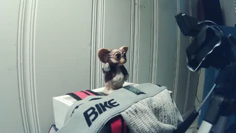 andy_552 online show from September 18, 1:46 pm