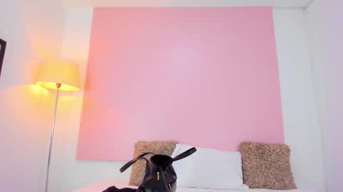 Andy  online show from January 8, 11:56 am