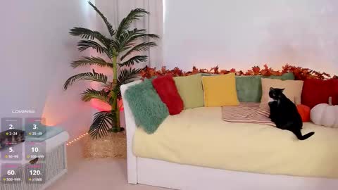 Claire - be back soon online show from November 14, 7:56 pm