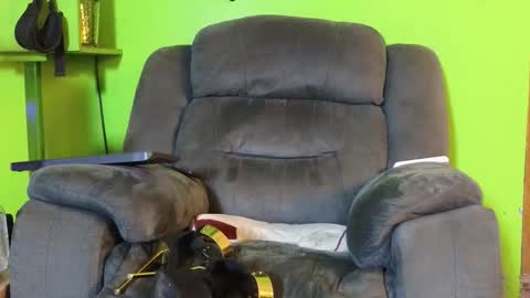 Angel online show from February 18, 2:24 pm