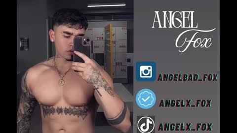 Angel Fox online show from January 7, 5:54 am