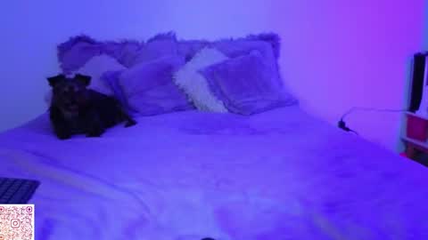 Angie Gomez  Onlyfans angie bigboobs FREE online show from April 22, 11:28 pm