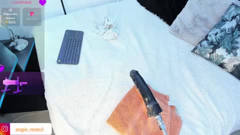 Snapshot of angiee_roses chatting on December 13, 3:16 am angiee roses online show from December 13, 3:16 am