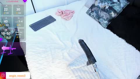 Snapshot of angiee_roses chatting on December 14, 8:02 am angiee roses online show from December 14, 8:02 am