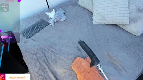 Snapshot of angiee_roses chatting on February 9, 2:49 am angiee roses online show from February 9, 2:49 am