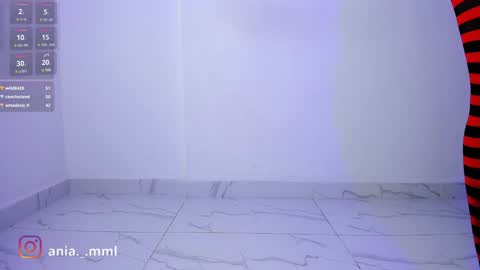 Snapshot of ania_mml chatting on February 3, 11:36 pm Ania online show from February 3, 11:36 pm