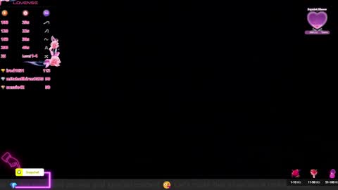 Snapshot of anierouse chatting on December 8, 9:08 pm ROUSE online show from December 8, 9:08 pm