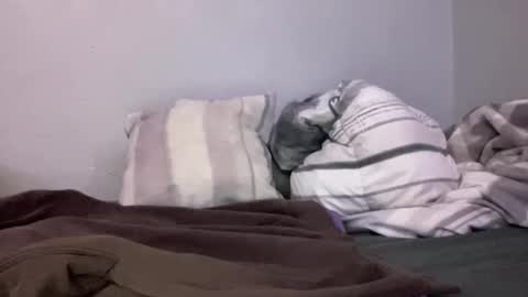 Animeboygirls online show from January 10, 5:05 am