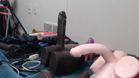 Twitter at animegamergrl. No vids for sale on Chaturbate. online show from January 11, 12:59 am