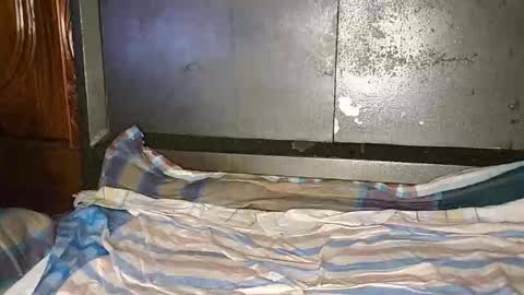 anis4551 online show from January 12, 8:14 pm